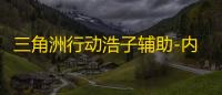 三角洲行动浩子辅助-内核绘制浩子助手免费版